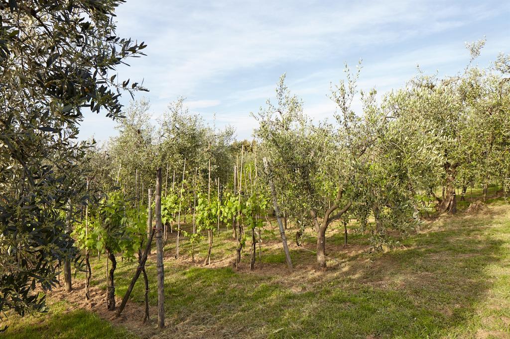 Podere La Casuccia Malmantile Quarto foto