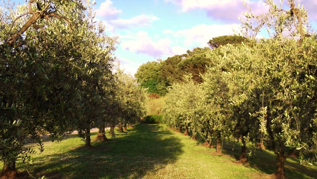 Podere La Casuccia Malmantile Quarto foto