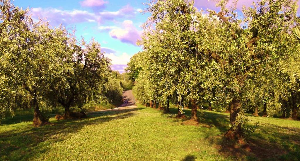 Podere La Casuccia Malmantile Quarto foto
